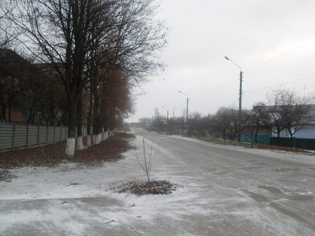 ~ул. 50лет СССР~