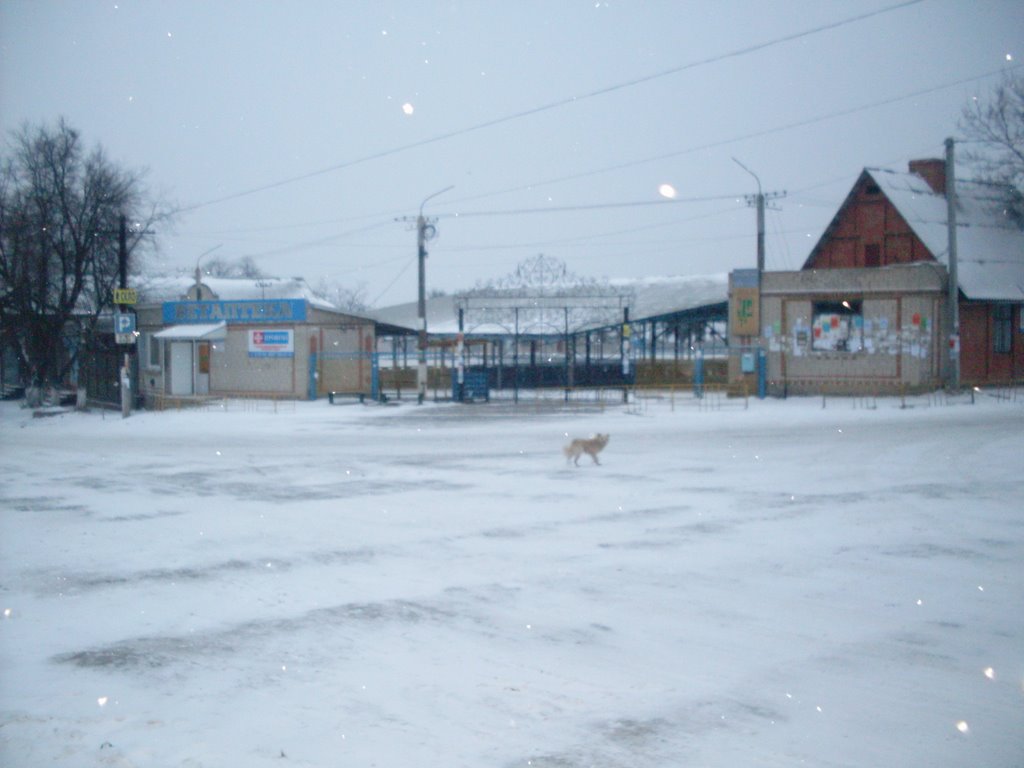 ~Колхозный рынок~