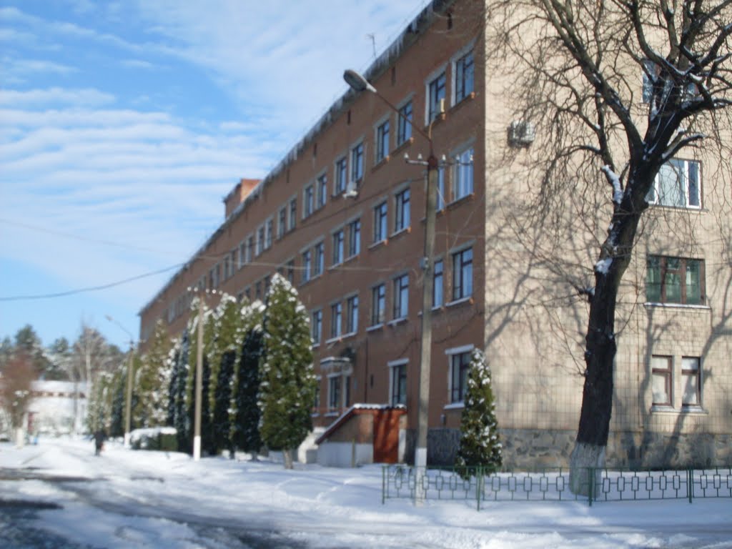 ~ЦРЛ~