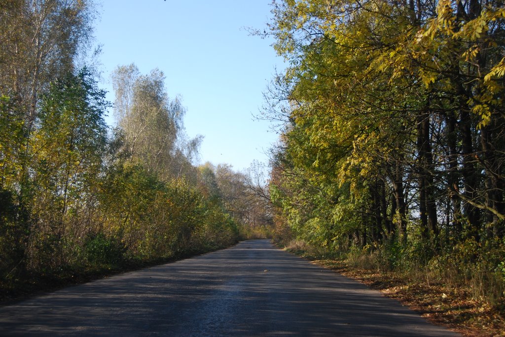Дорога к селу Ворошиловка