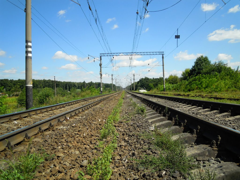 дорога на Вінницю