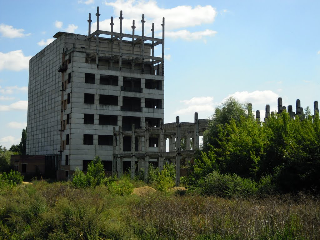 Памятник СССР