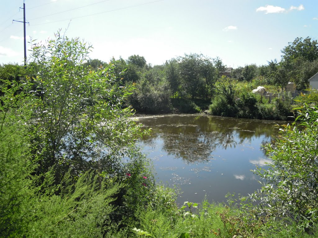 река Цыганка