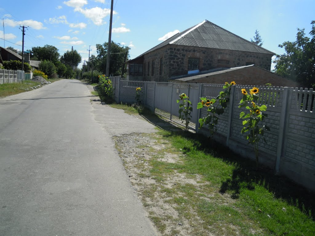 ул. Красина