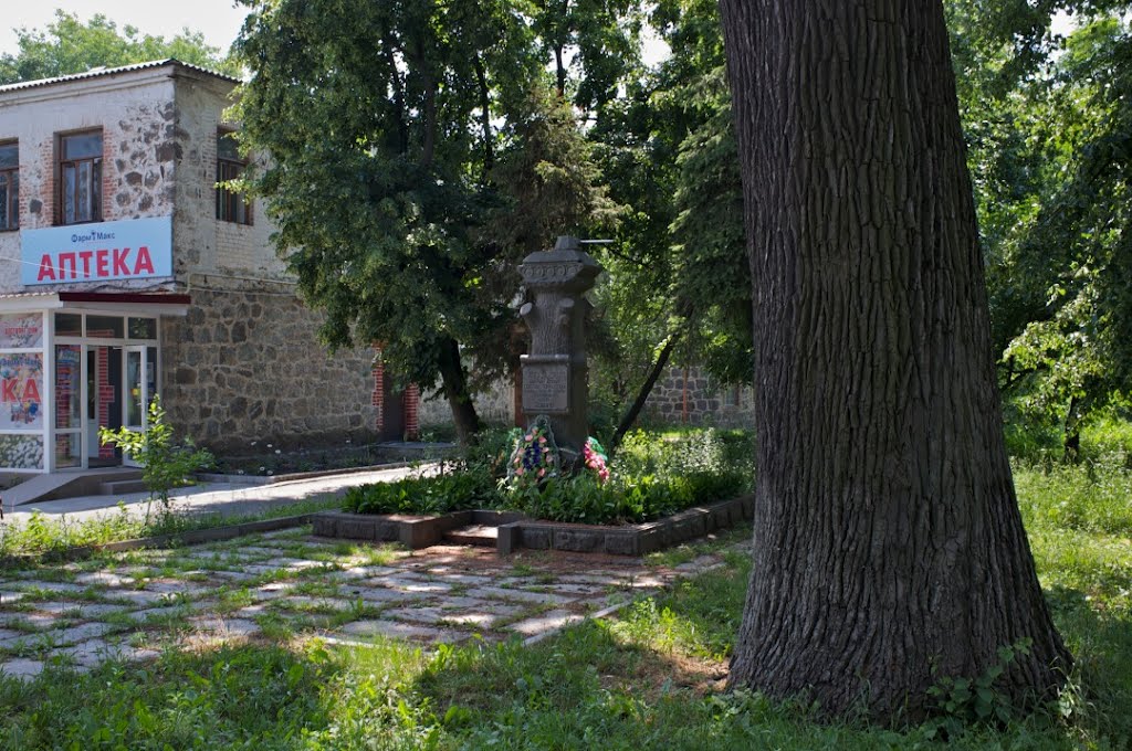 Гнивань. Июнь 2011г