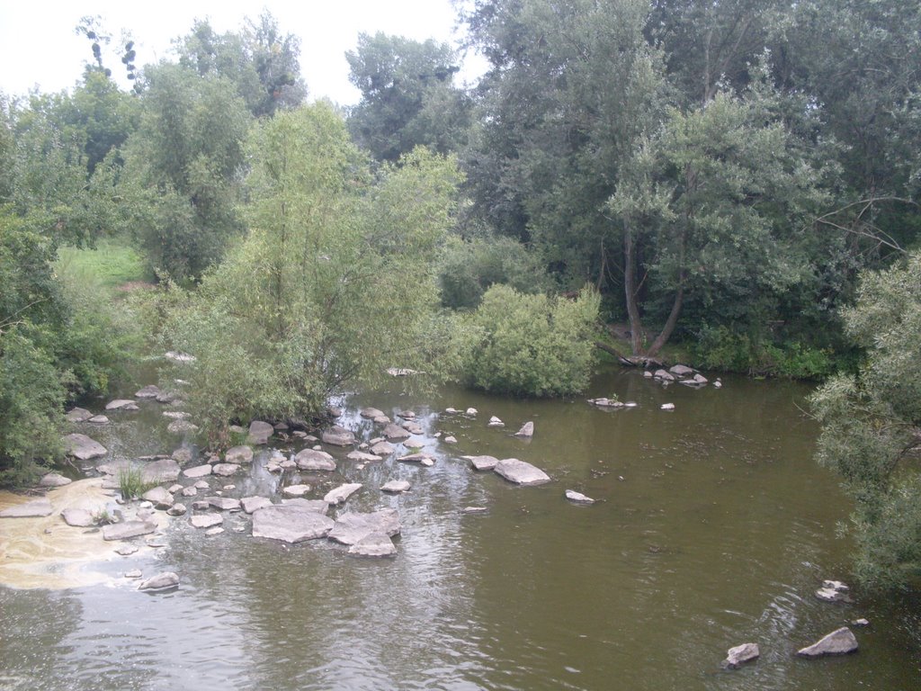 ~Cоб~