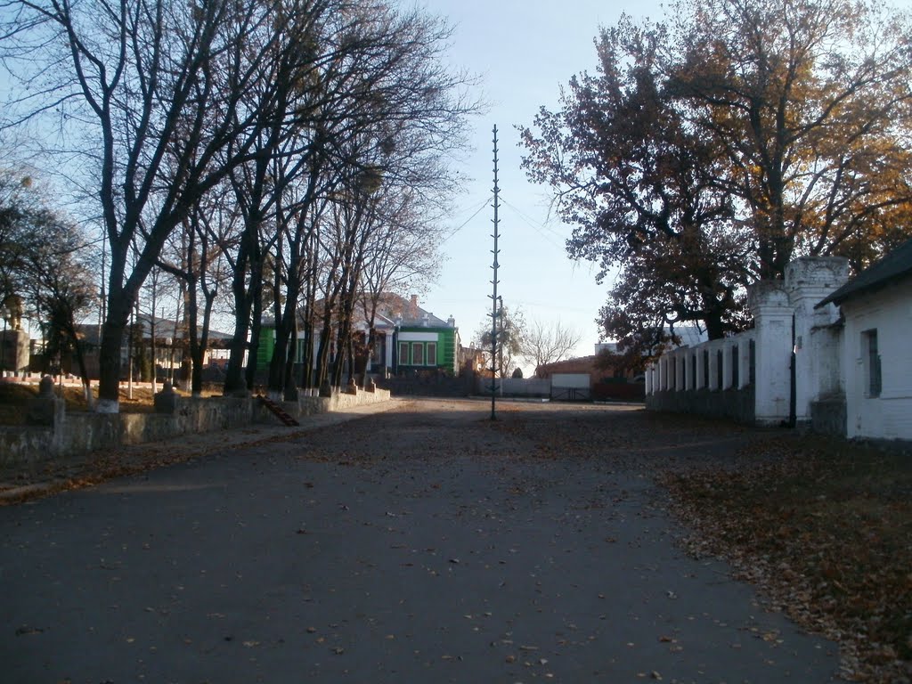 ~ЦЕНТР~