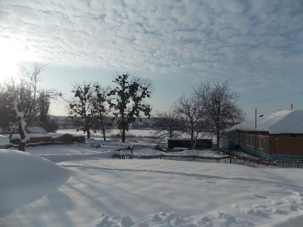 ~Дашев зима~