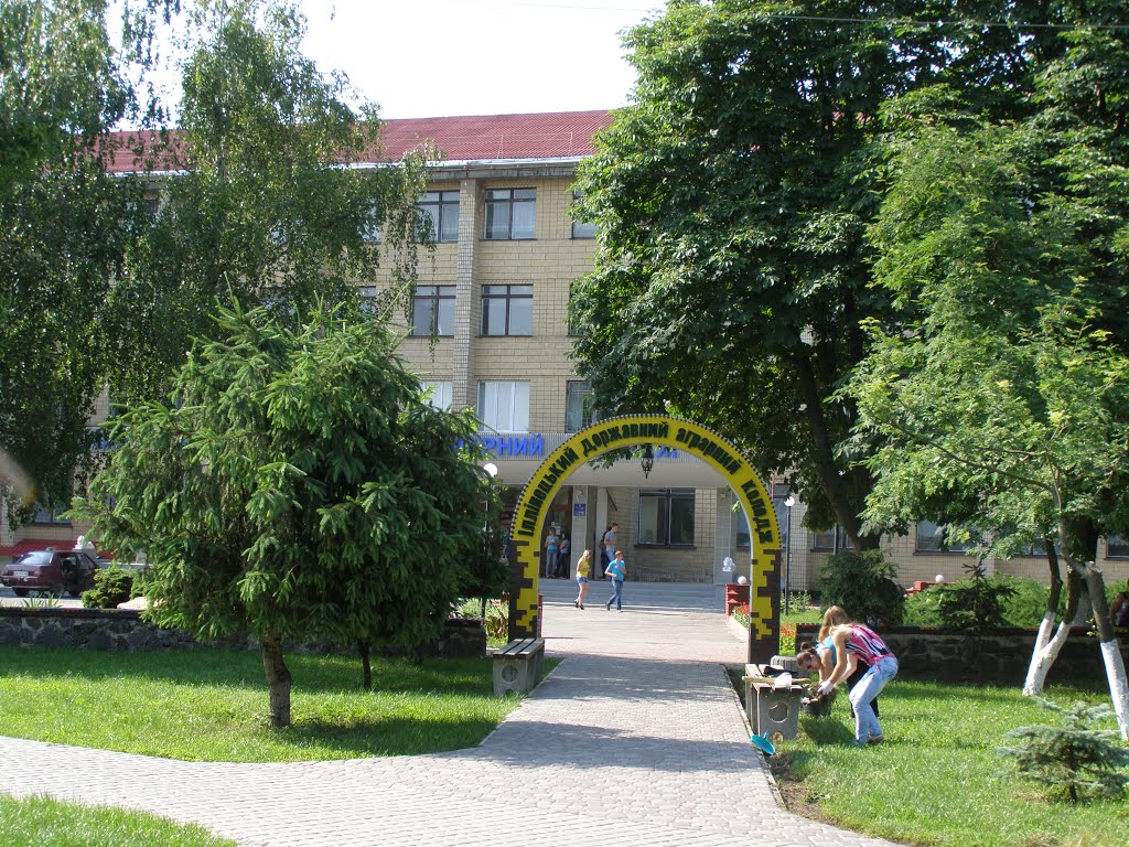 Ильинцы