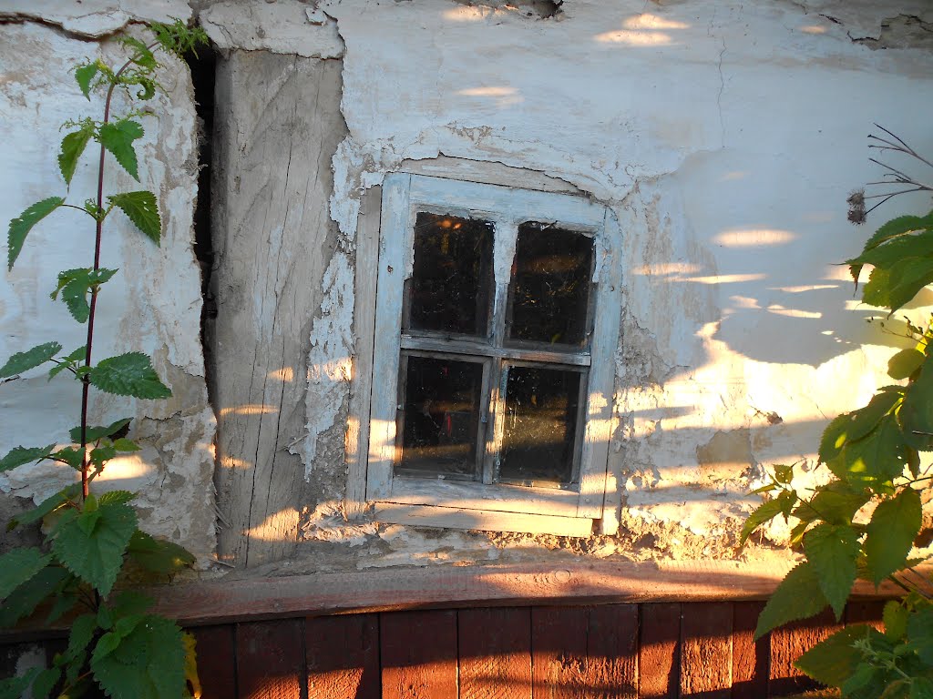 Сонце у віконце