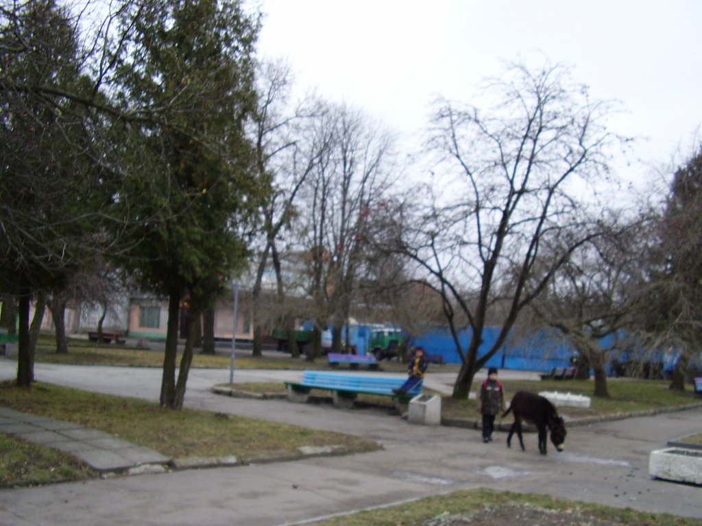 Park