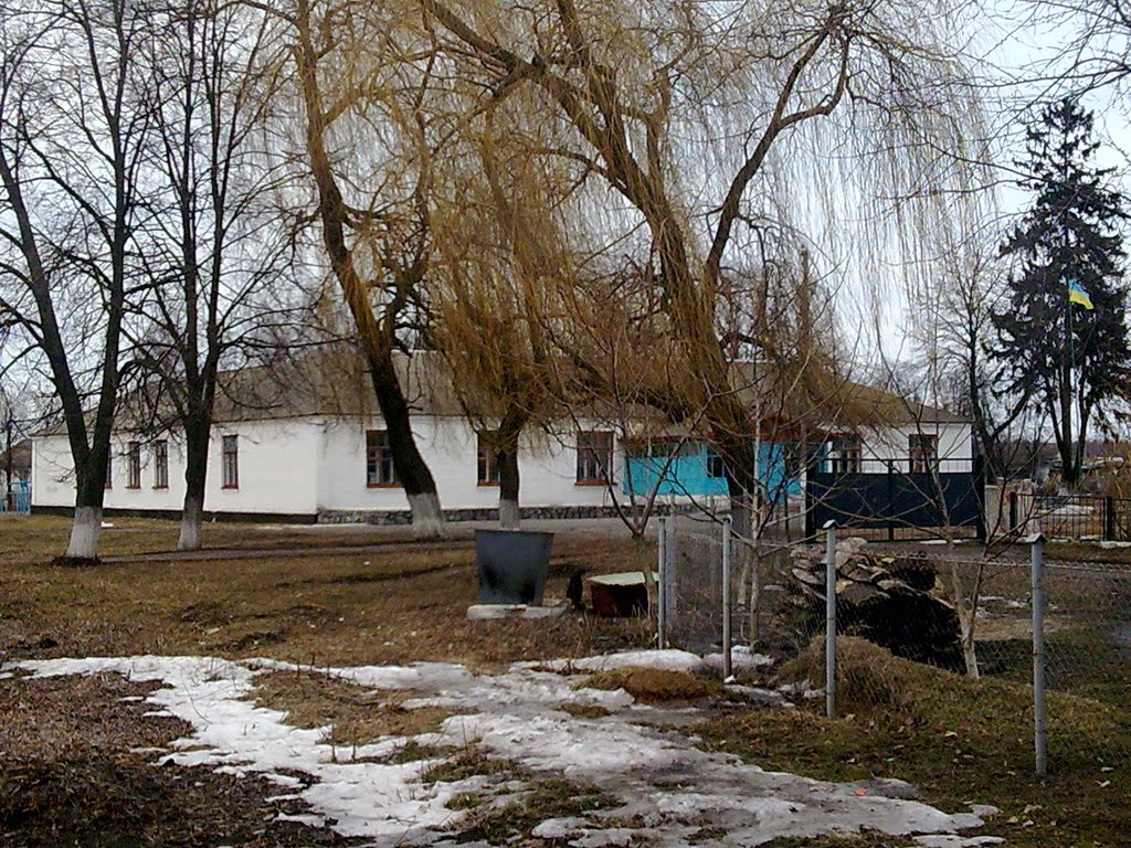 School №4