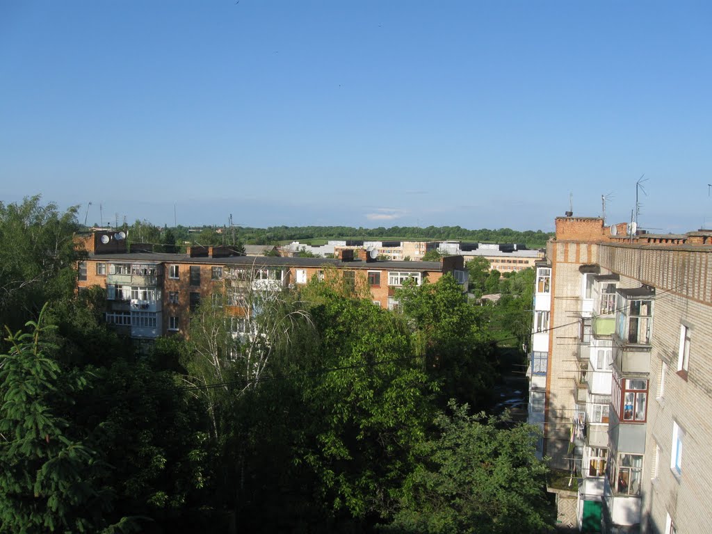 Kalynivka