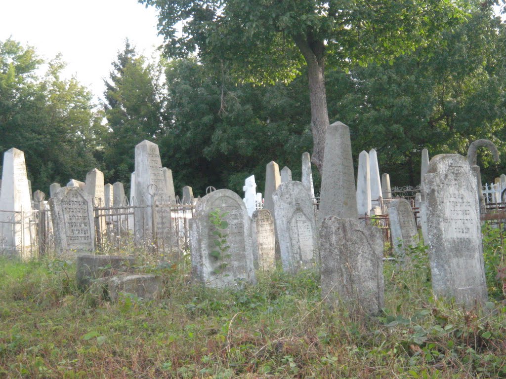 Єврейський кіркут в Крижополі