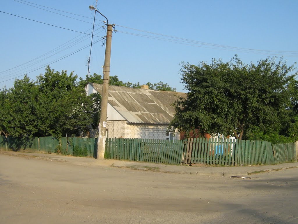 ►В Крижополі