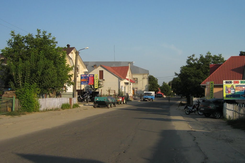 ►Вулиця в Крижополі