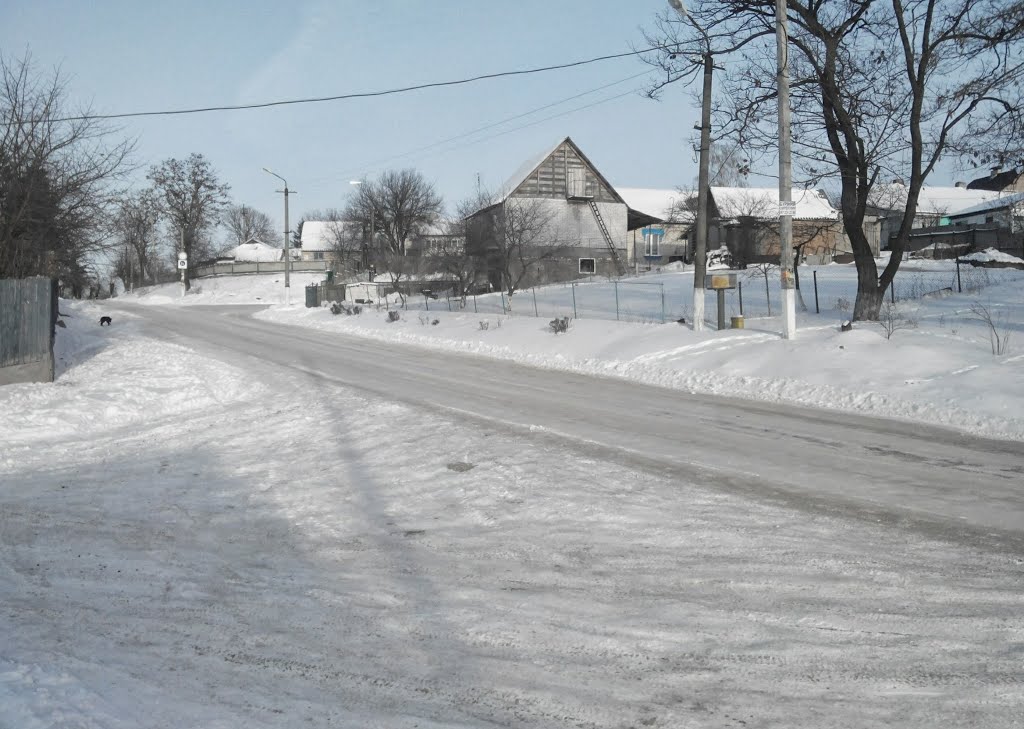 Заснеженная дорога
