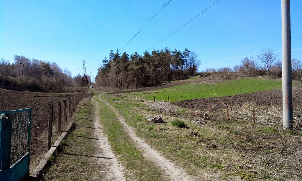 Дорожка в к леску