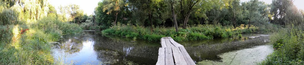 Panorama у речки