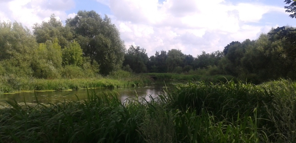 Річка Згар 2