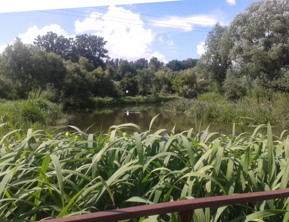 Річка Згар 3