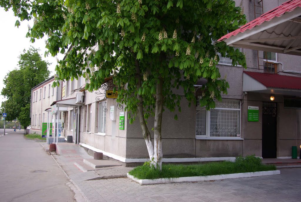 Приватбанк, 1-ша школа