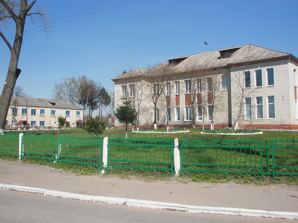 Роддом
