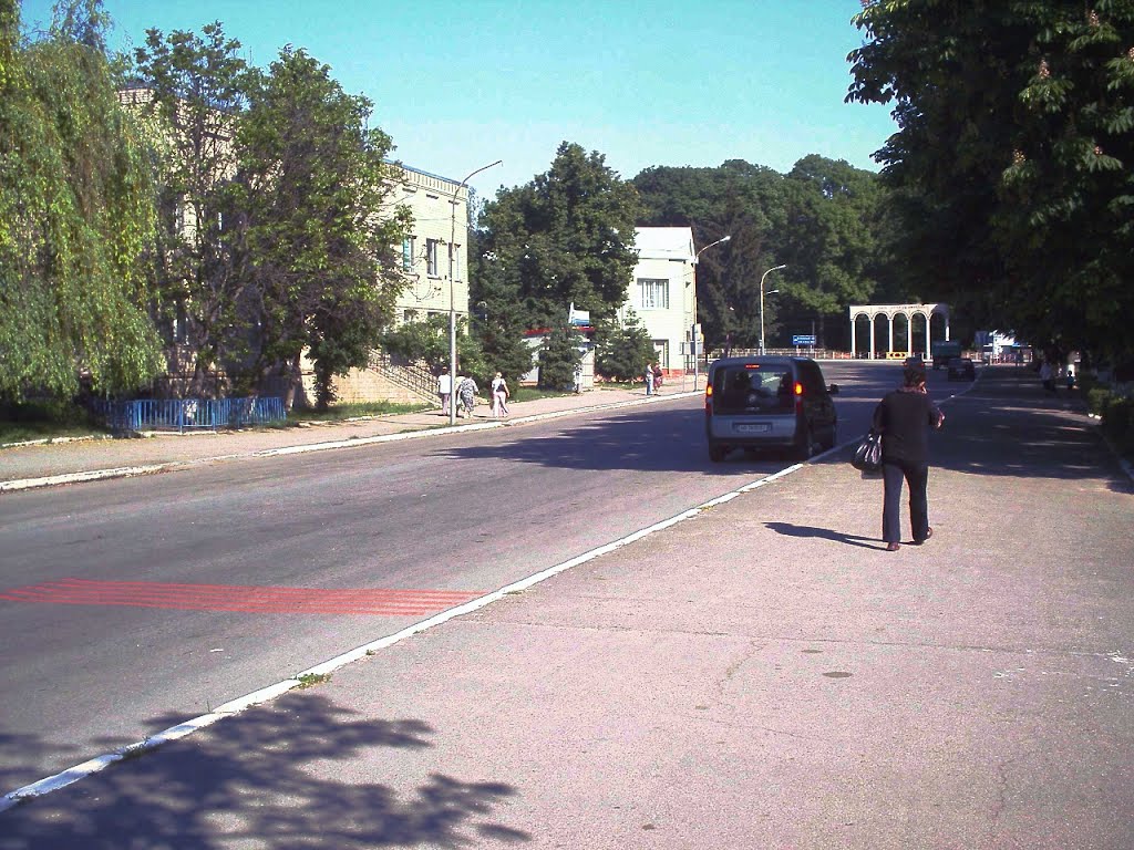 Центральная улица. Вид на парк