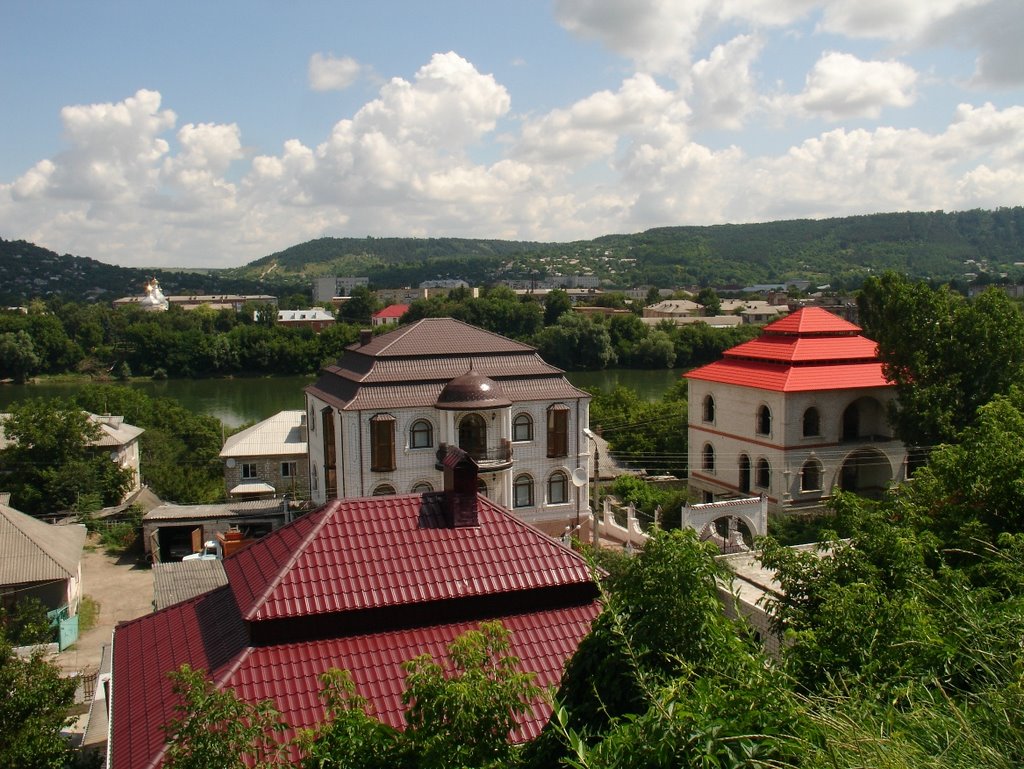 Briceni