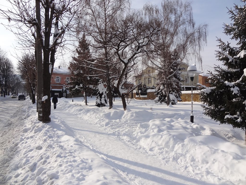 Февраль 2012