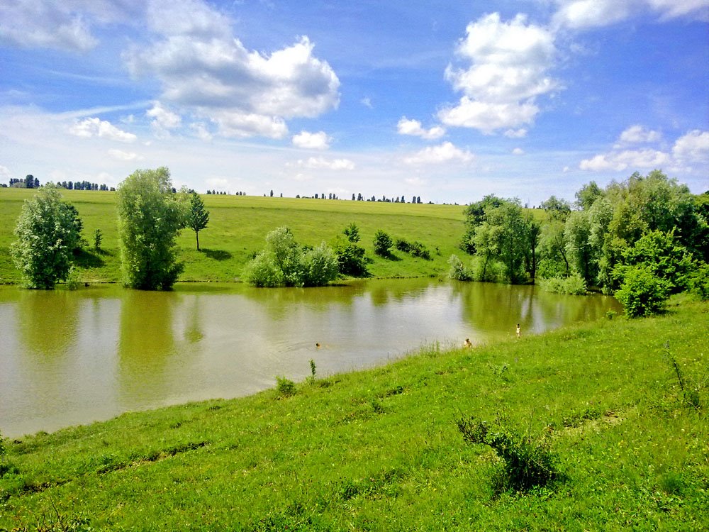 Став возле Мур. Куриловец