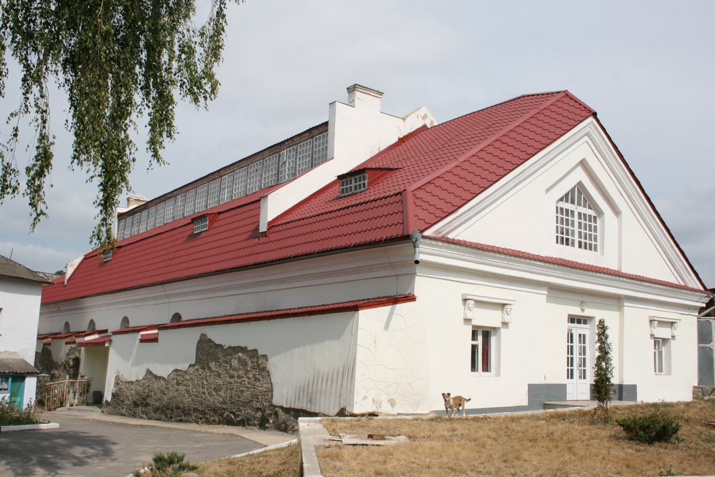 Тут була панська конюшня