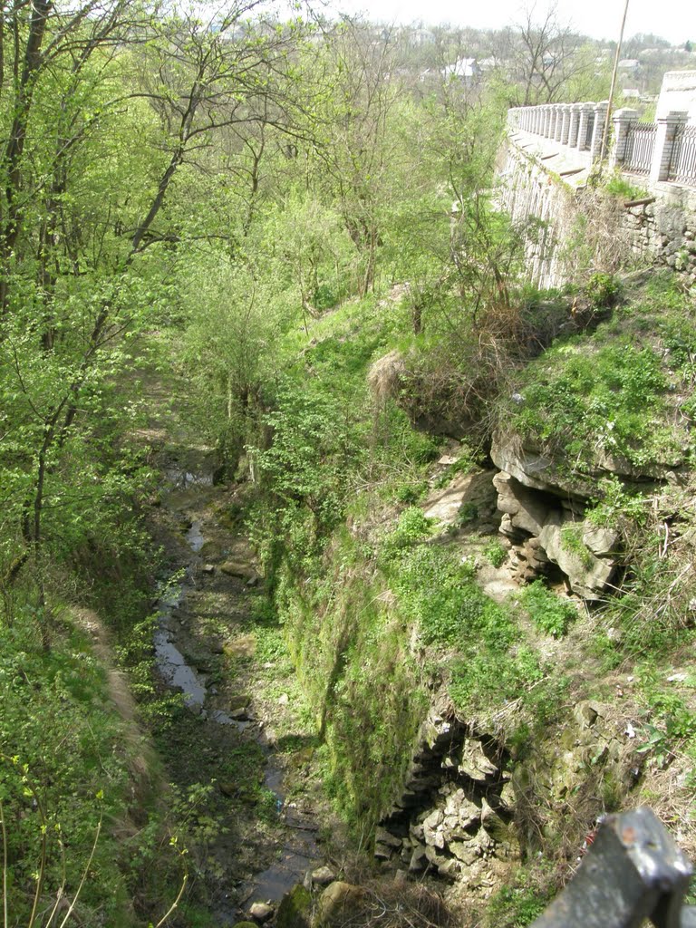 Мурованы Куриловцы