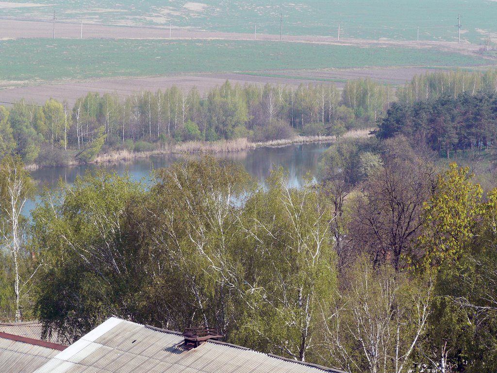 nemiriv_10