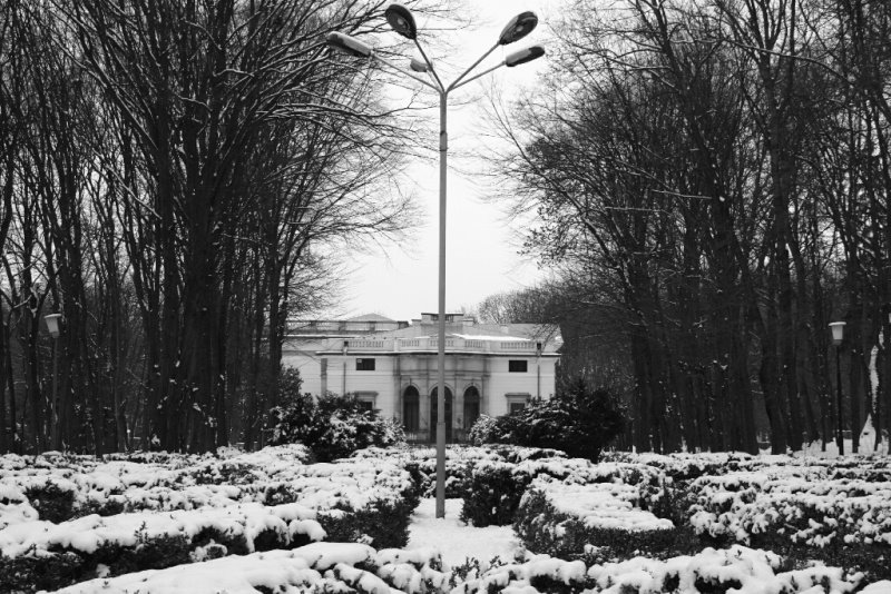 Nemiriv Park 1