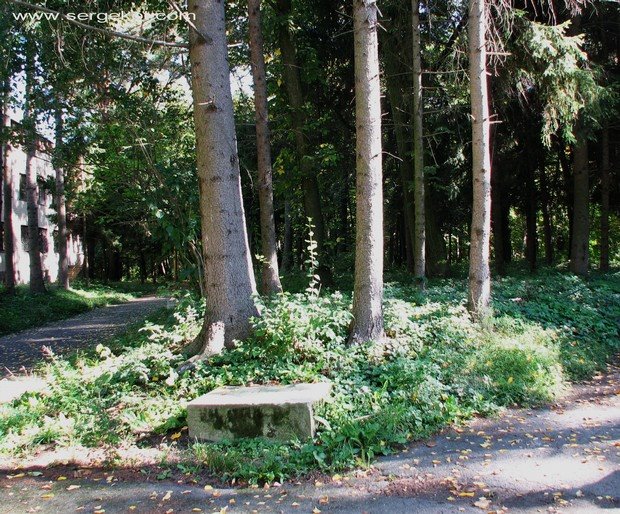 Nemiriv Park 24