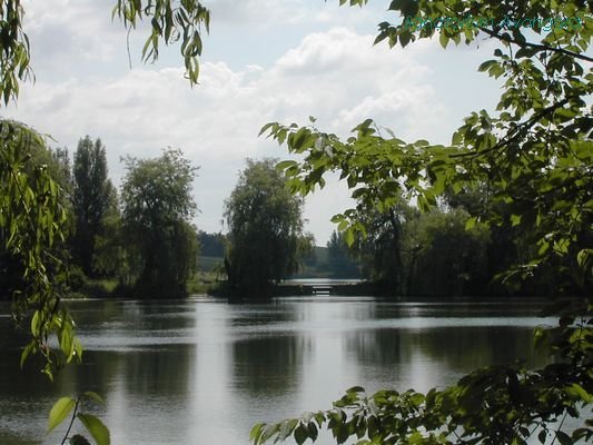 Nemiriv Lake 9