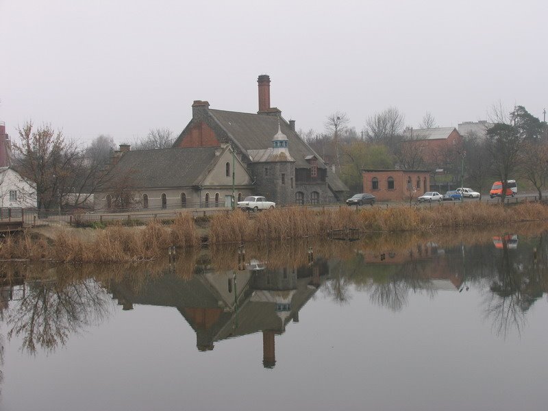 Nemiriv Lake 12