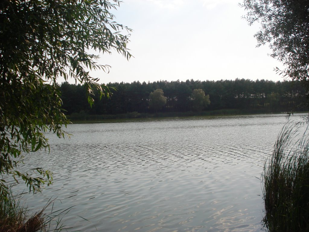 Nemiriv Lake 13