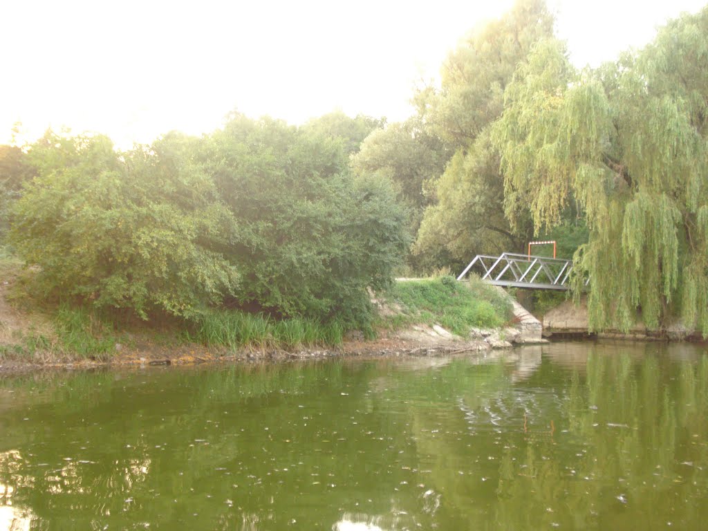 Nemiriv Lake 23