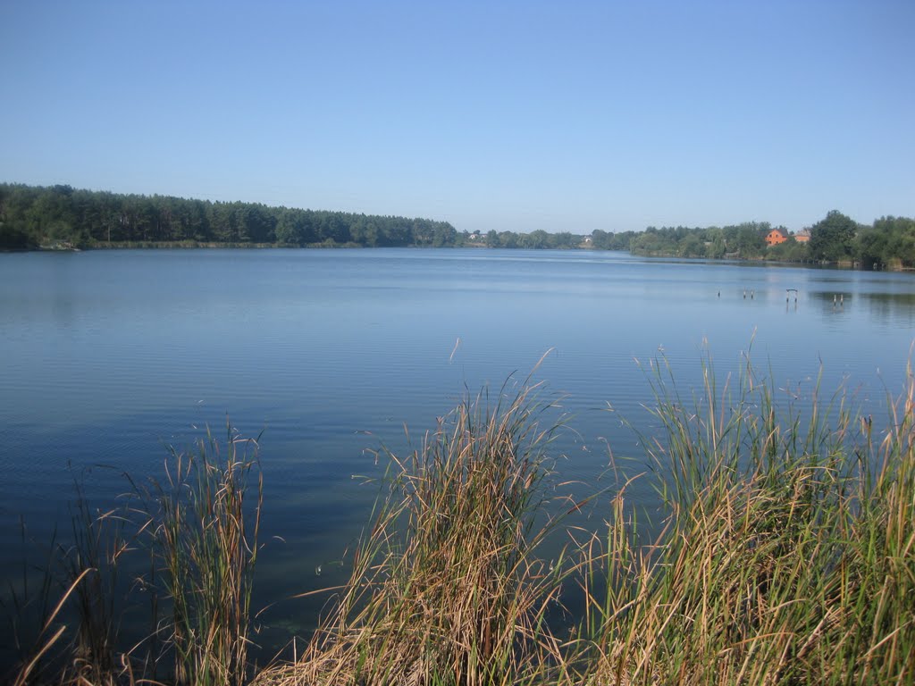Річка Замчик