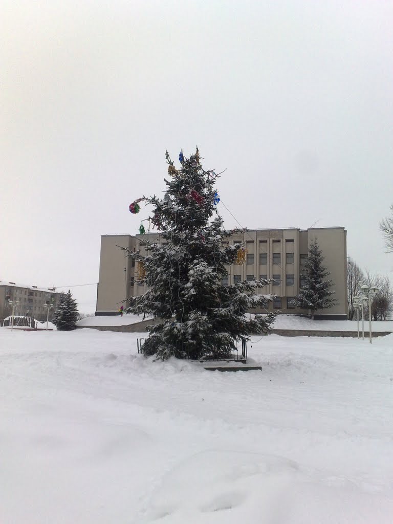 Ялинка 2010
