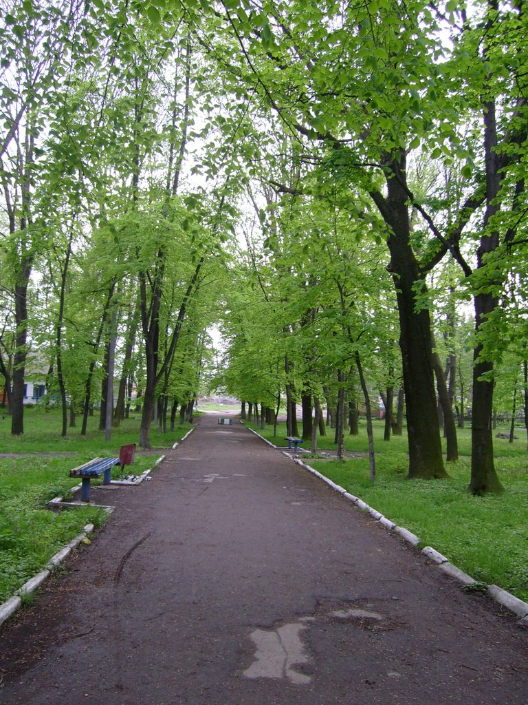Парк