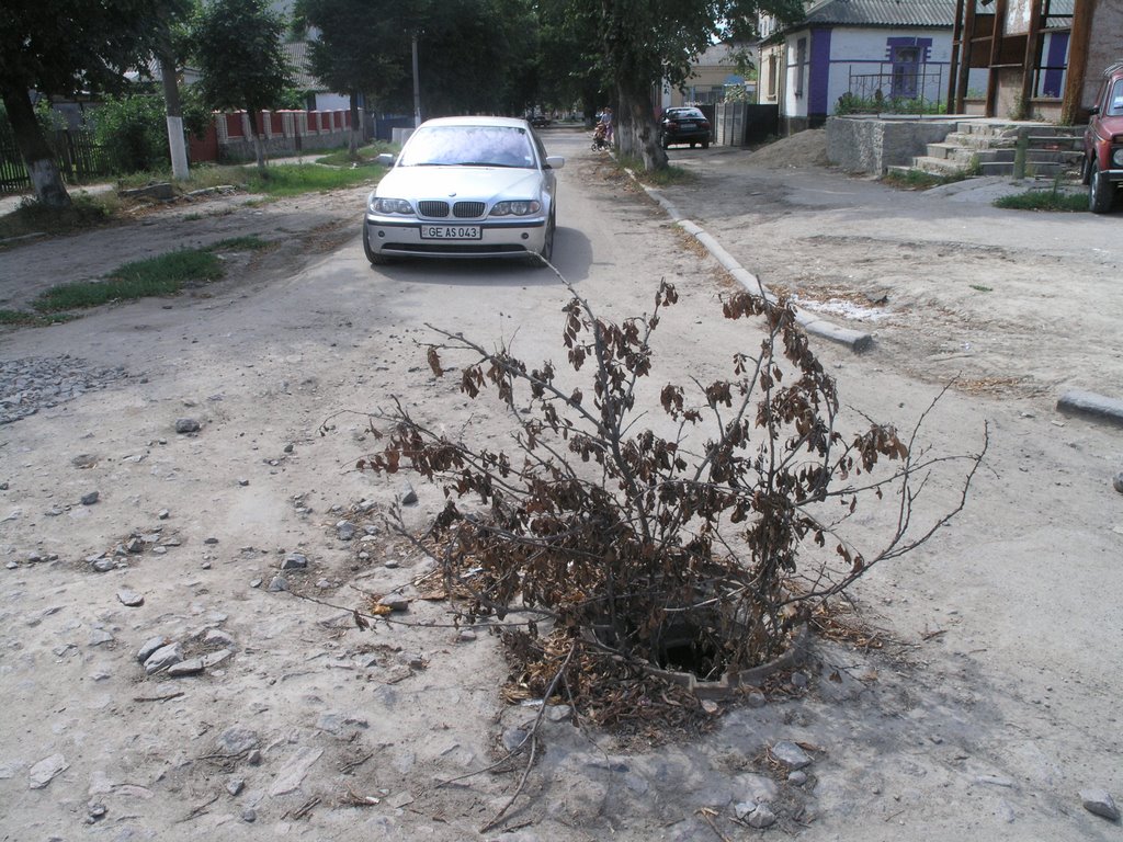 На улице