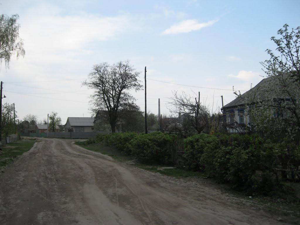 Погребище Винницкая область