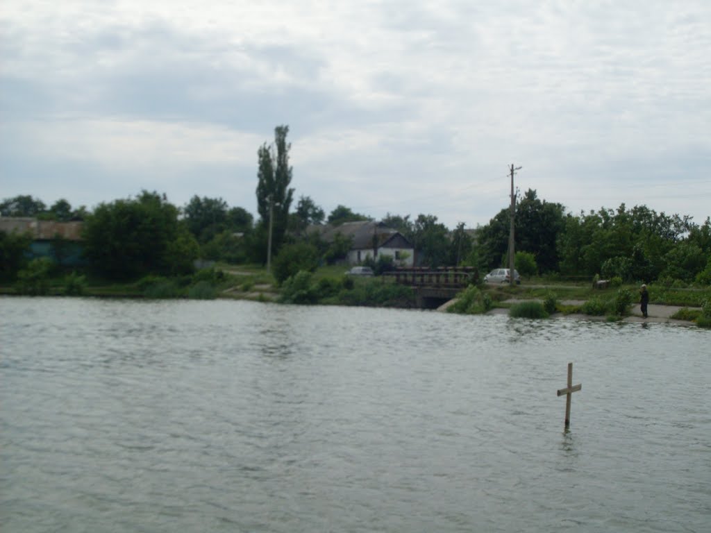 ~СТАВОК~