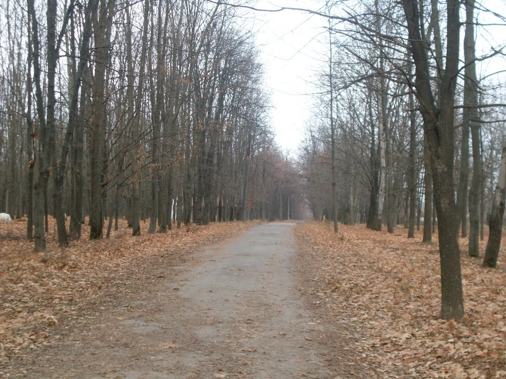 ~Парк осень ~