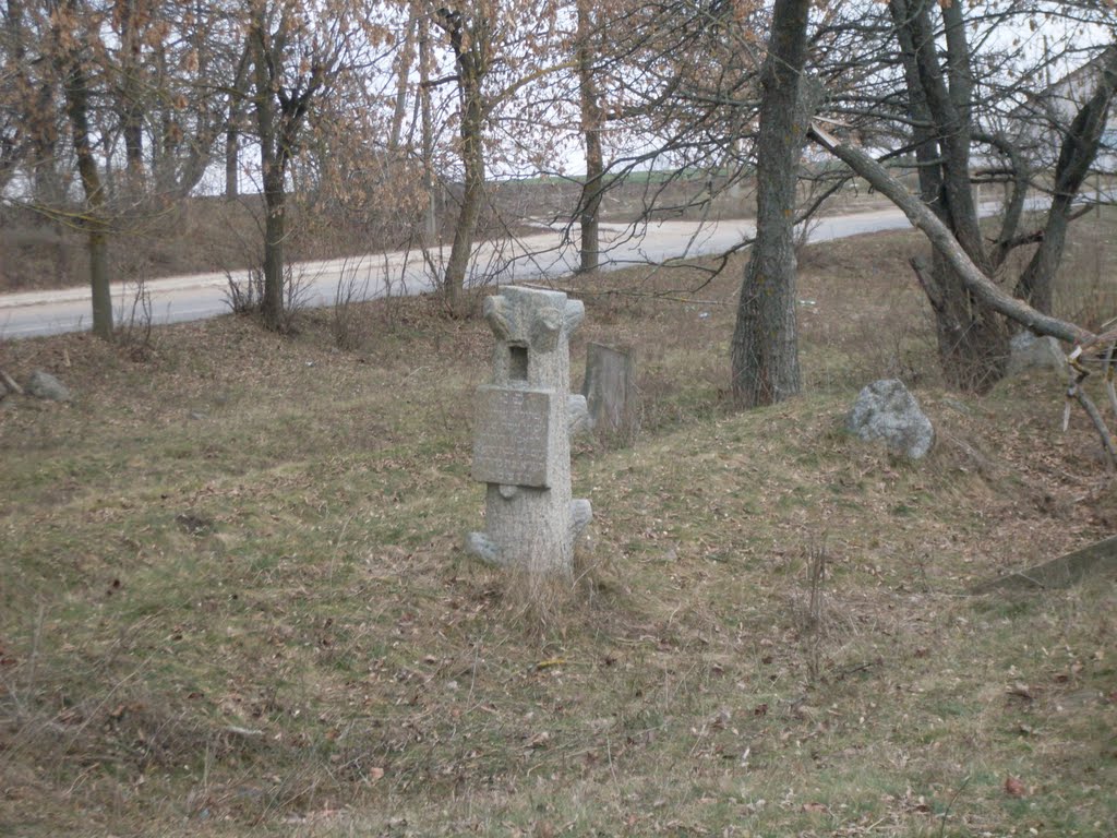 ~старое еврейское кладбище ~