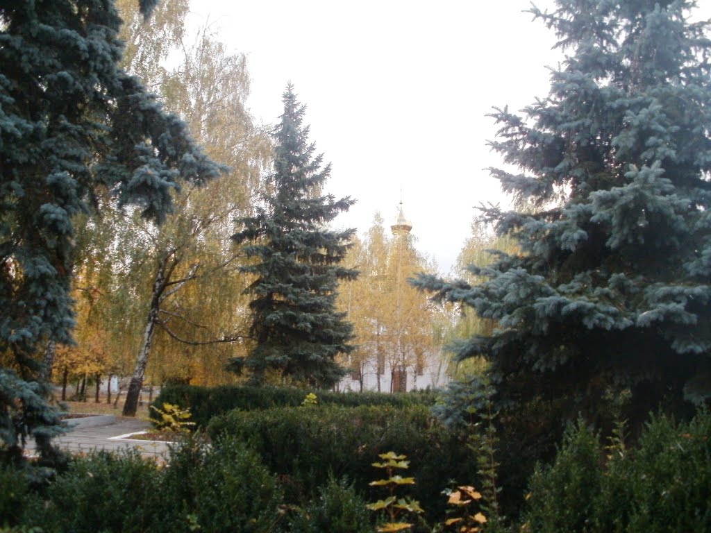 ~ПАРК СЛАВИ~
