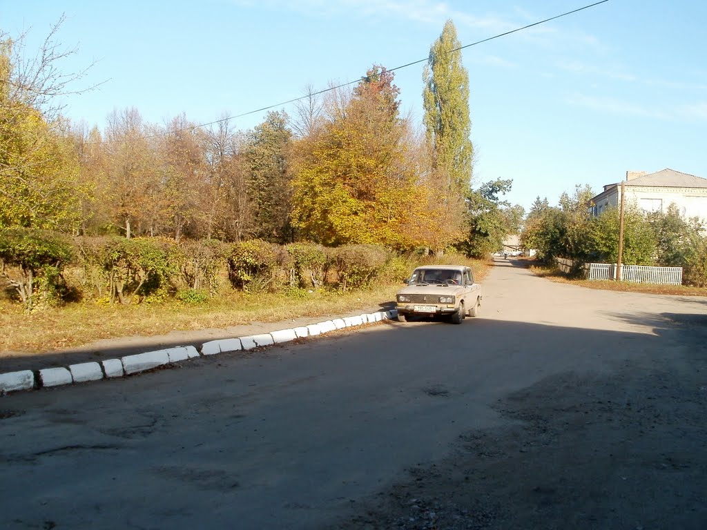 ~ВОЗЛЕ НАЛОГОВОЙ ~